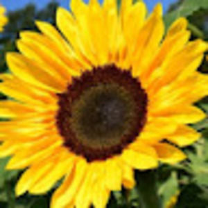 Meet your Posher, Ericka